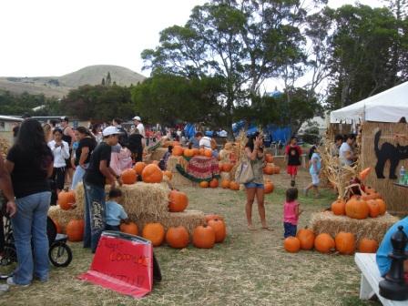 Hawaiian pumpkin patch festival